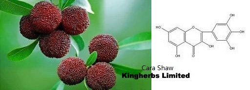Kingherbs offer China Myricetin 50%,80%,90%,98% HPLC